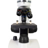 Микроскоп LEVENHUK DISCOVERY PICO POLAR с книгой 77977